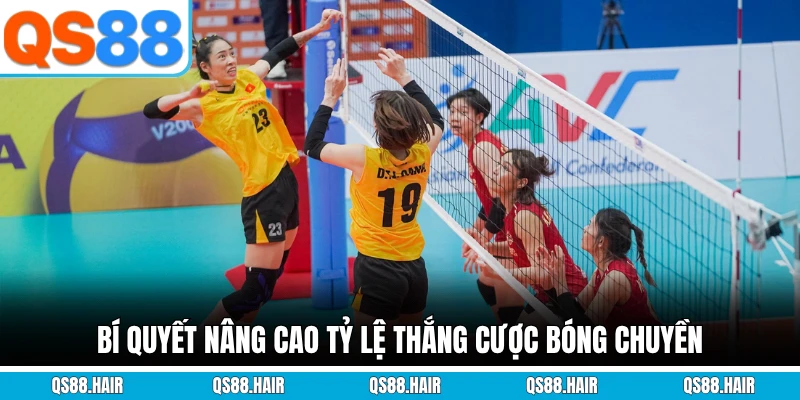 Bí quyết nâng cao tỷ lệ thắng cược bóng chuyền