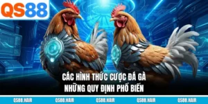 các hình thức cược đá gà