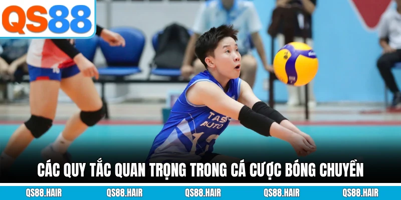 Các quy tắc quan trọng trong cá cược bóng chuyền