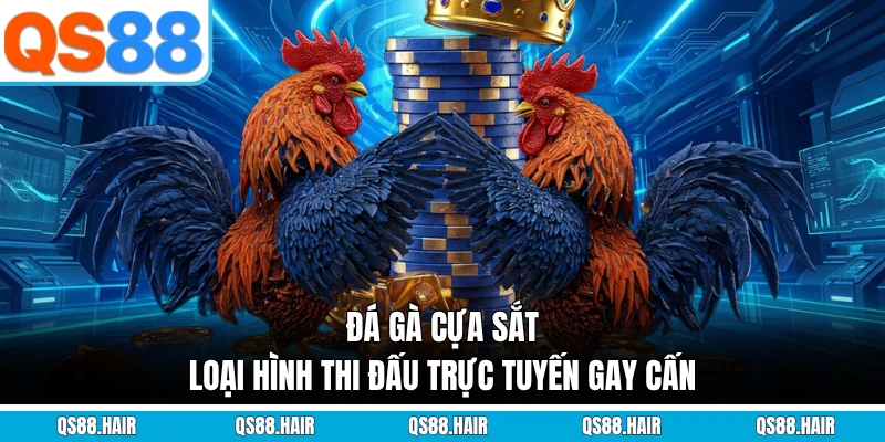 đá gà cựa sắt