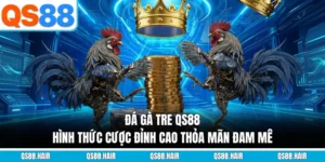 đá gà tre qs88