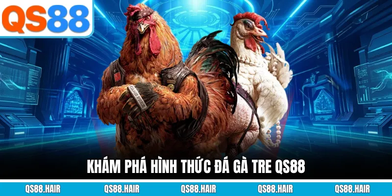 Khám phá hình thức đá gà tre QS88