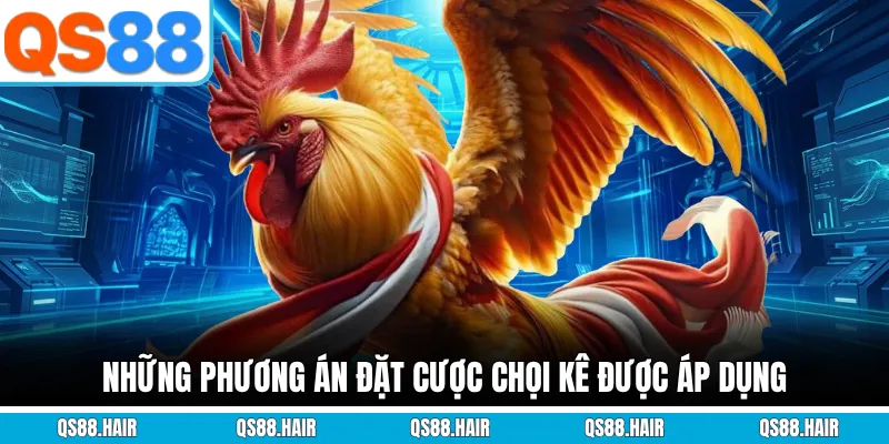 Những phương án đặt cược chọi kê được áp dụngNhững phương án đặt cược chọi kê được áp dụng