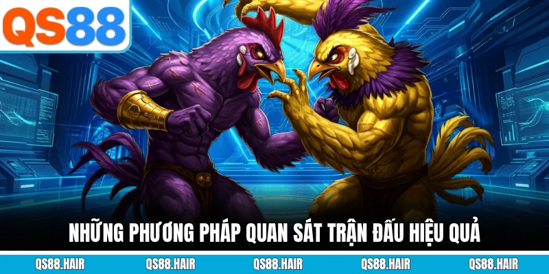 Những phương pháp quan sát trận đấu hiệu quả