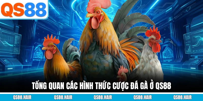 Tổng quan các hình thức cược đá gà ở QS88